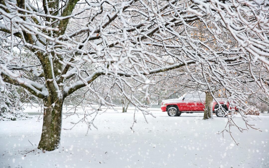 A diesel truck in a winter landscape